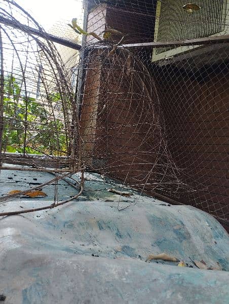 Hen cages and food pots 1