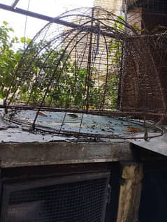 Hen cages and food pots