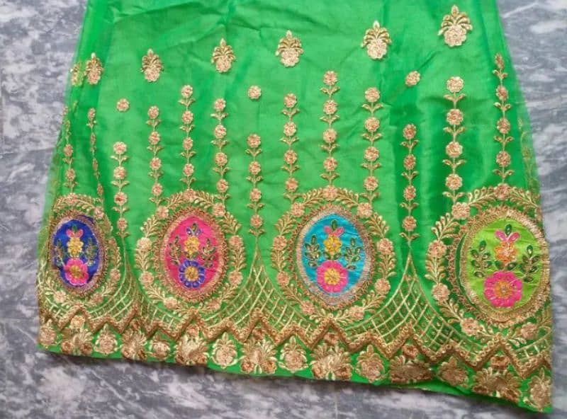 3pc Lehnga choli with dubatta 1