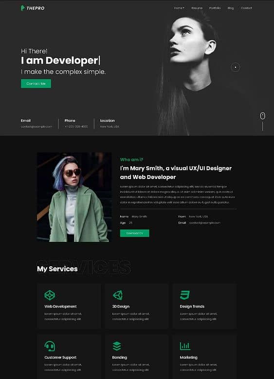 Web Developer 7