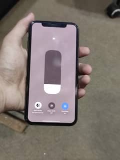 Iphone Xs 256 Gb Pta Aproved 0