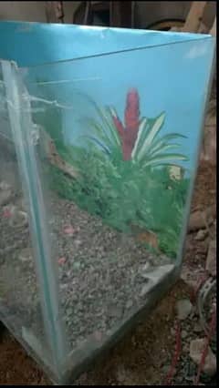 Fish Tank Aquarium in BIG SiZE