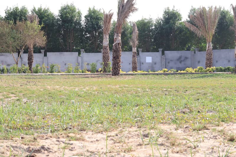 2 Kanal Farmhouse Land For Sale Farm City Farmhouse Society Bedian Road Lahore 6