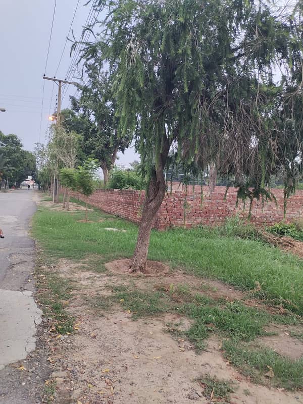 prime location 5 kanal farm house land for sale in chinar court 4