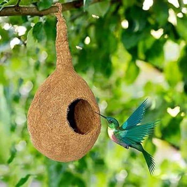 Bird Nest for Home decorations 1