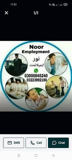 Maid Chef Babysitter Patient care Cook Driver Helper