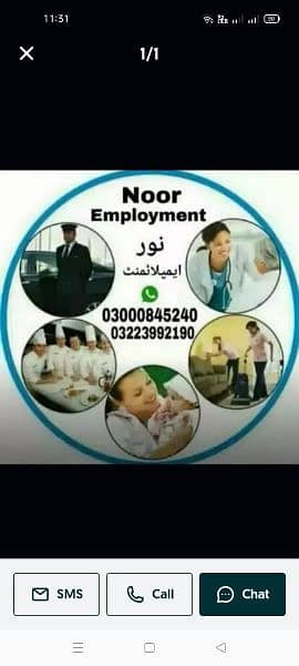 Maid Chef Babysitter Patient care Cook Driver Helper 0