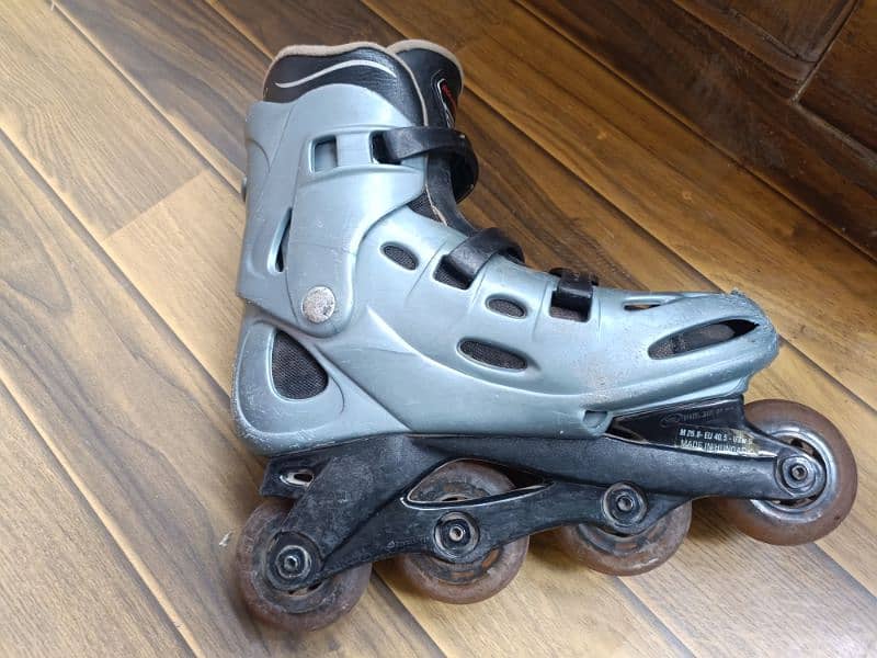 Skates 1