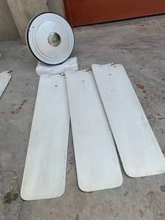 Celling Fan For sale condition Good 0