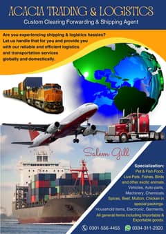 Customs clearing and forwarding services