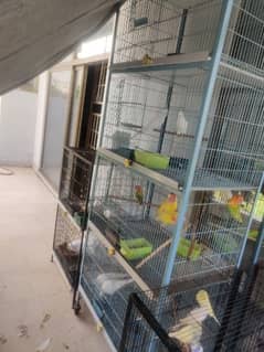 4 Portion Breeding Cage 2.5*1.5*1.5 size