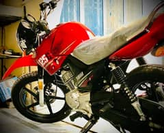 Yamaha YBR 125 G 2023