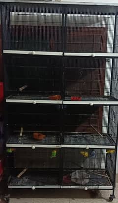 Bird Cage 8 portions (2*1.5=8)