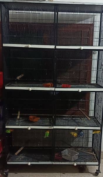 Bird Cage 8 portions (2*1.5=8) 0