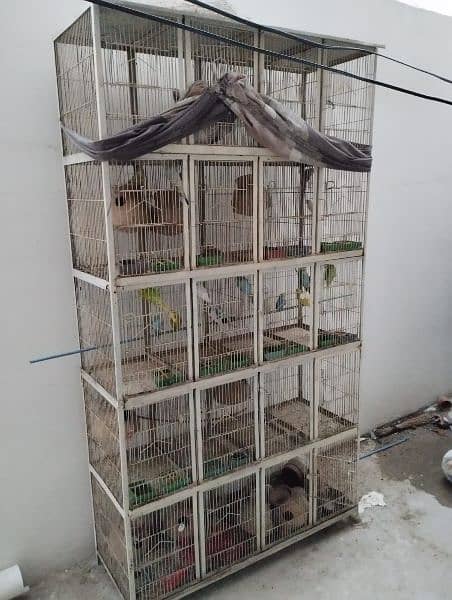 cages and birds sale 1