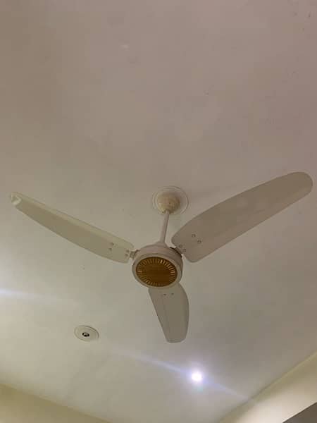 royal ceiling fans almost new 4