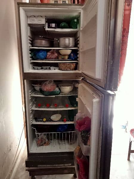 PEL jumbo size fridge in 10/10 condition 3