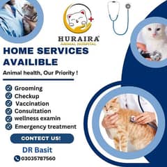 Home Service Available for Pets