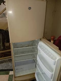 Pal refrigerator