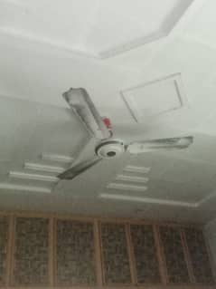 celling fan