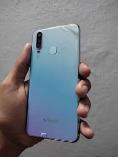 vivo