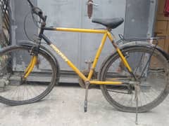 Phoenix brand gear bicycle for sale .