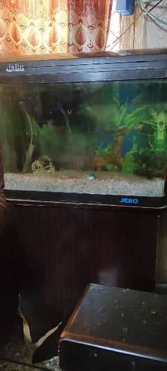 JEBO AQUARIUM+ OSCAR FISH