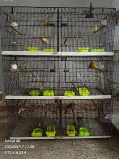 Cages for bird different size