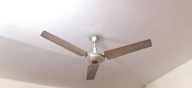 Deluxe Ceiling Younes Fan | 10/10 Condition