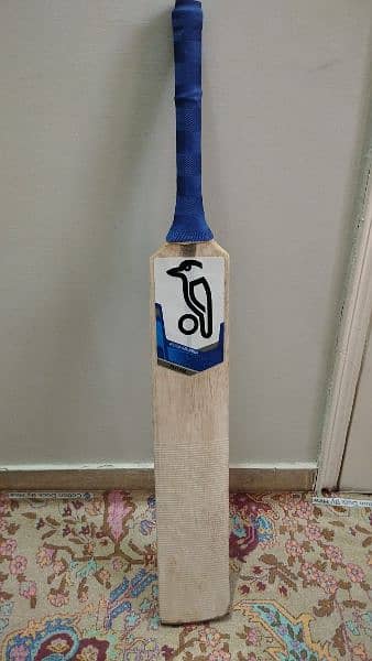 Sri Lankan Coconut bat 1