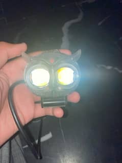 owl  light