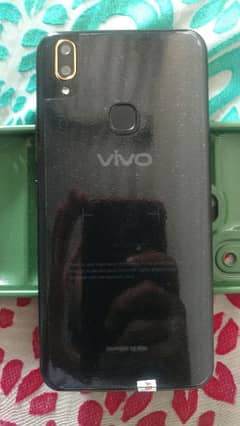 Vivo