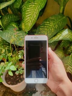 IPHONE 7+ 128GB RED COLOUR 0