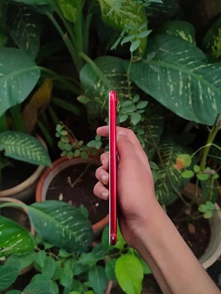 IPHONE 7+ 128GB RED COLOUR 1