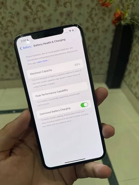 iPhone Xs  max 256gb 8