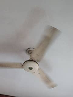 pure copper ceiling fan