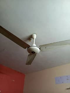 pak fan . . . old heavy fan. . in good working