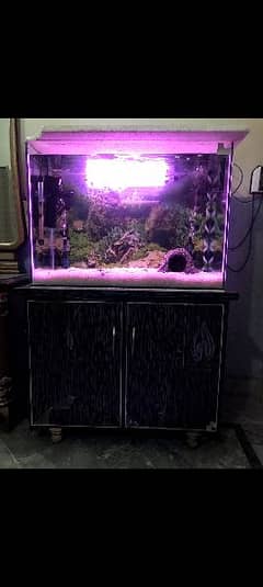 Fish Aquarium 8mm Glass With all Accessories