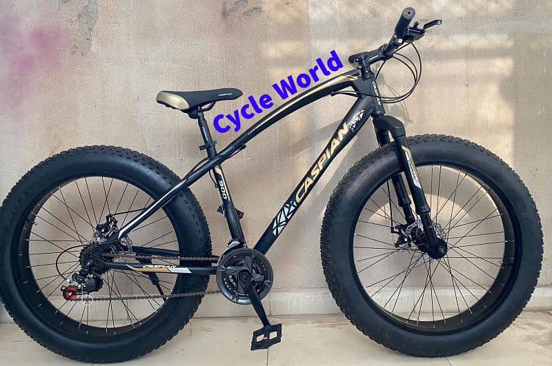 New Imported Bicycles 12