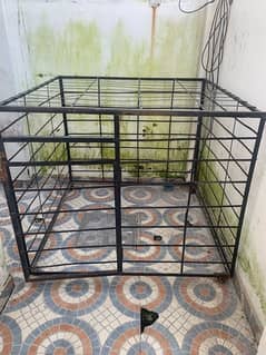 dog cage 4.2 by 4.2