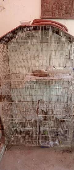 Cage for sale (PINGRA) in Good condition.