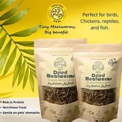 Birds Food premium quality Dry Mealworms