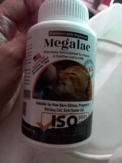 MEGALAC CAT/ KITTEN FORMULA MILK