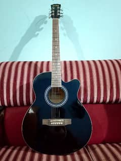 Acoustic Guitar Medium Size