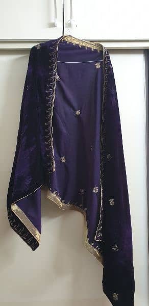 Purple Velvet Fancy Dress 1