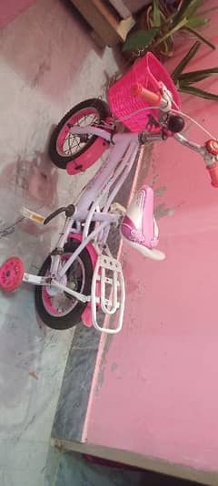 Baby Doll Cycle. . .