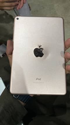 ipadmini5