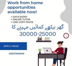 Online Part time/full time/home job/Assignments/Typing/Data entry/Ads