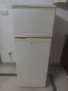 Gold star Refrigerator