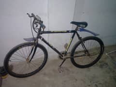 Biycle Full Size MTB